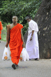 Monk Coming Shopping