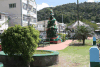 Downtown Soufrière Christmas Tree