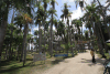 Palm Park Paramaribo
