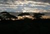 Sunrise Serengeti