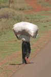 Pedestrian Carrying Load
