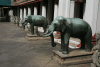 Bronze Elephant Statues