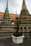Stupas Wat Pho Bonsai