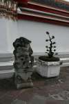 Stone Statue Bonsai Tree