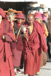 Group Tibetan Monks Prayer