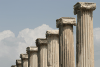 Close-up View Row Columns