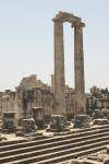 Closeup Huge Columns Didymaion