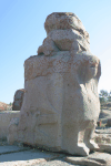 Close-up Massive Sphinxes