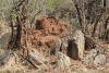 Termite Mound