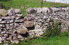 Pastures Enclosed Stone Walls