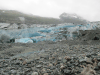 Blue Ice Reid Glacier