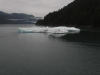 Iceberg Endicott Arm