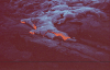 Active Lava Flow