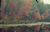 Lake Fall Colors Rain