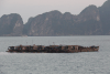 Houseboats Hạ Long Bay