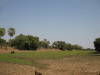 View Lower Zambezi National